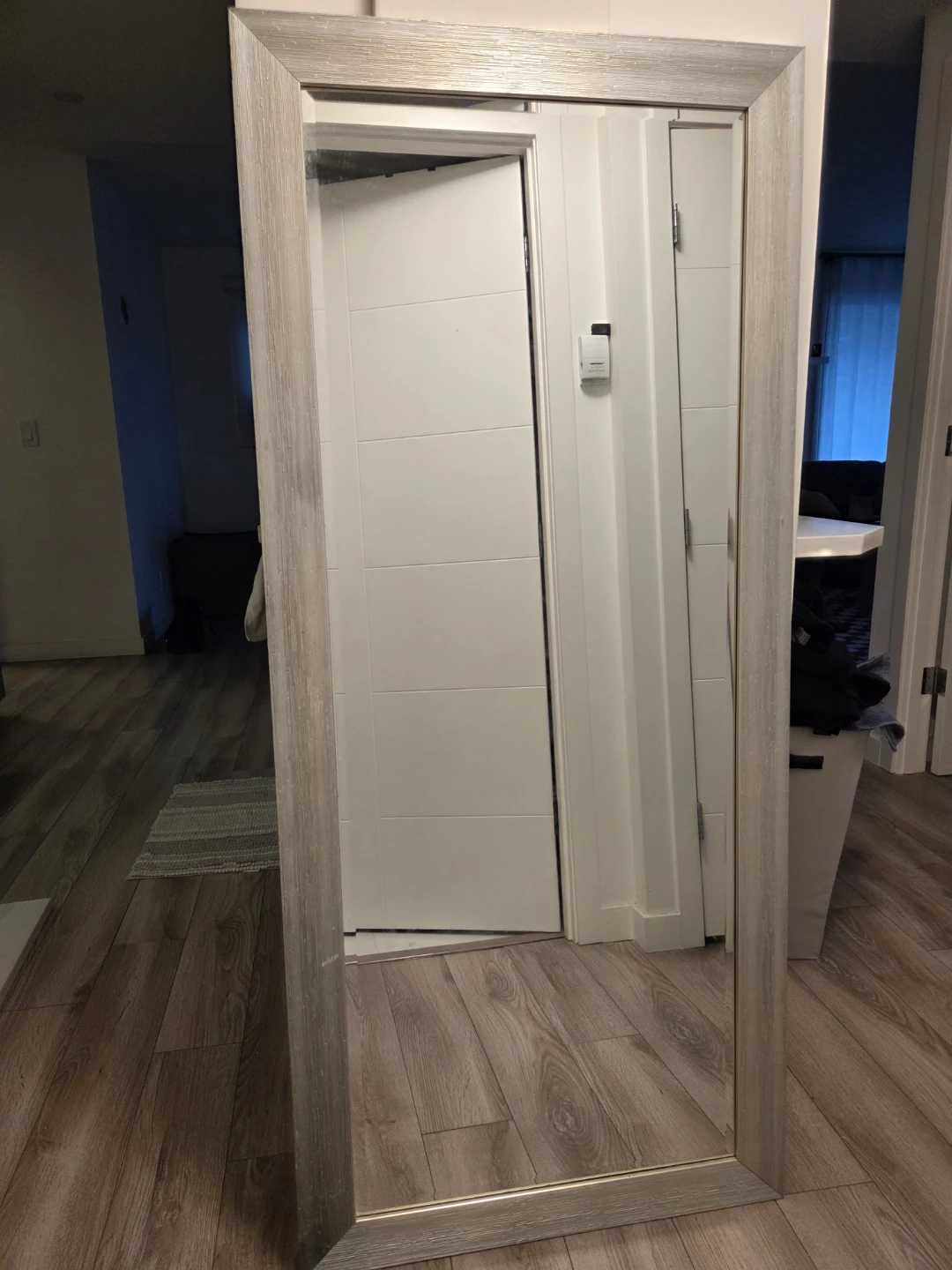 Large Full Length Mirror with metal Light Wood Frame