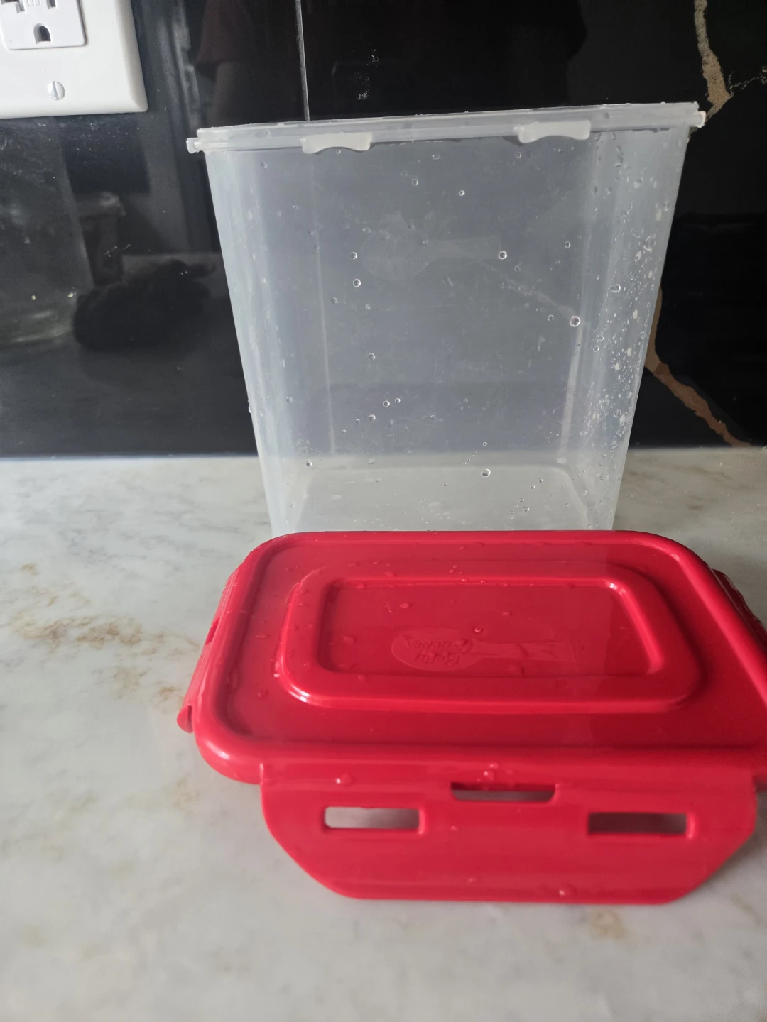 Clear Food Storage Container with Red Lid