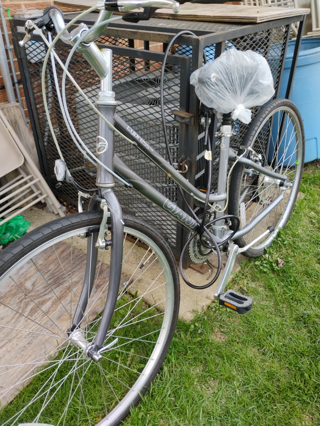 Gaiam Cypress Women's Cruiser Bike