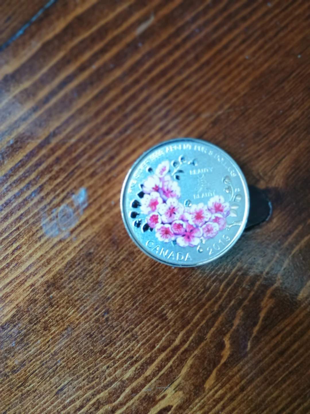 2019 Canada 1.25 Dollar Silver Coin - Beauty of the North
