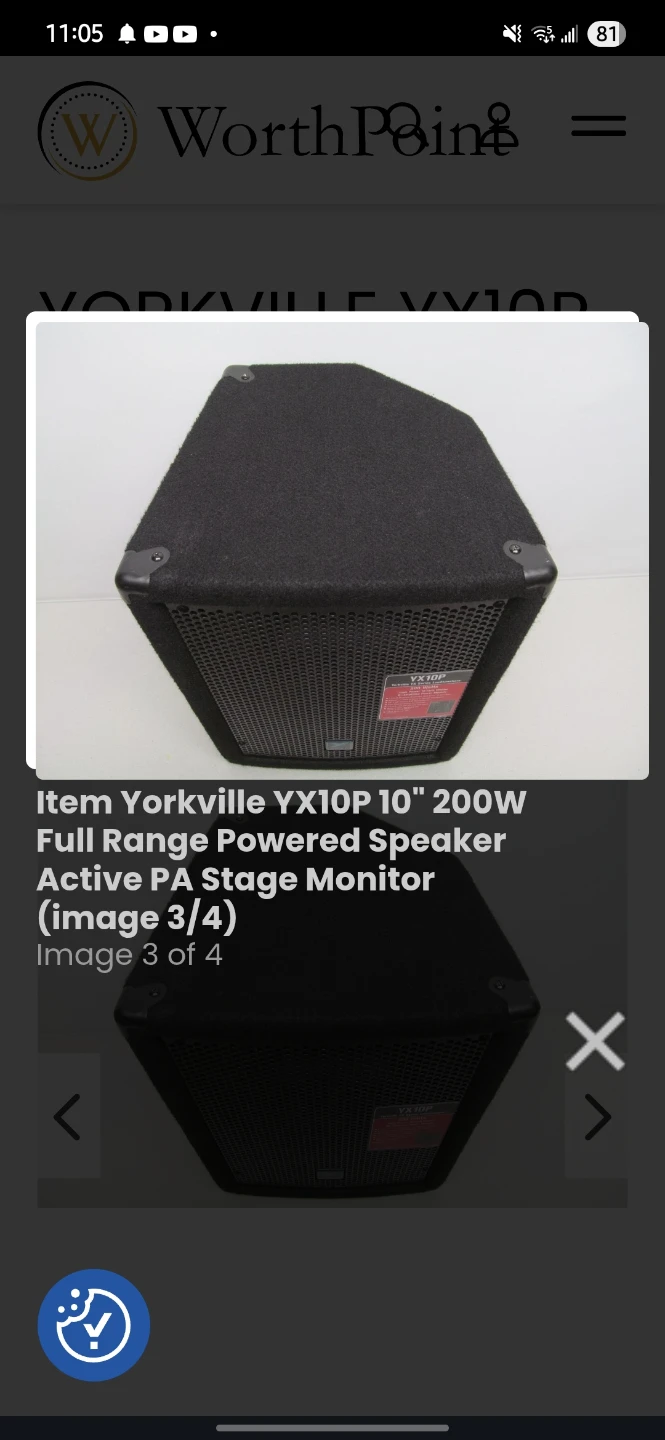 Yorkville YX10P 10" 200W Powered PA Speaker