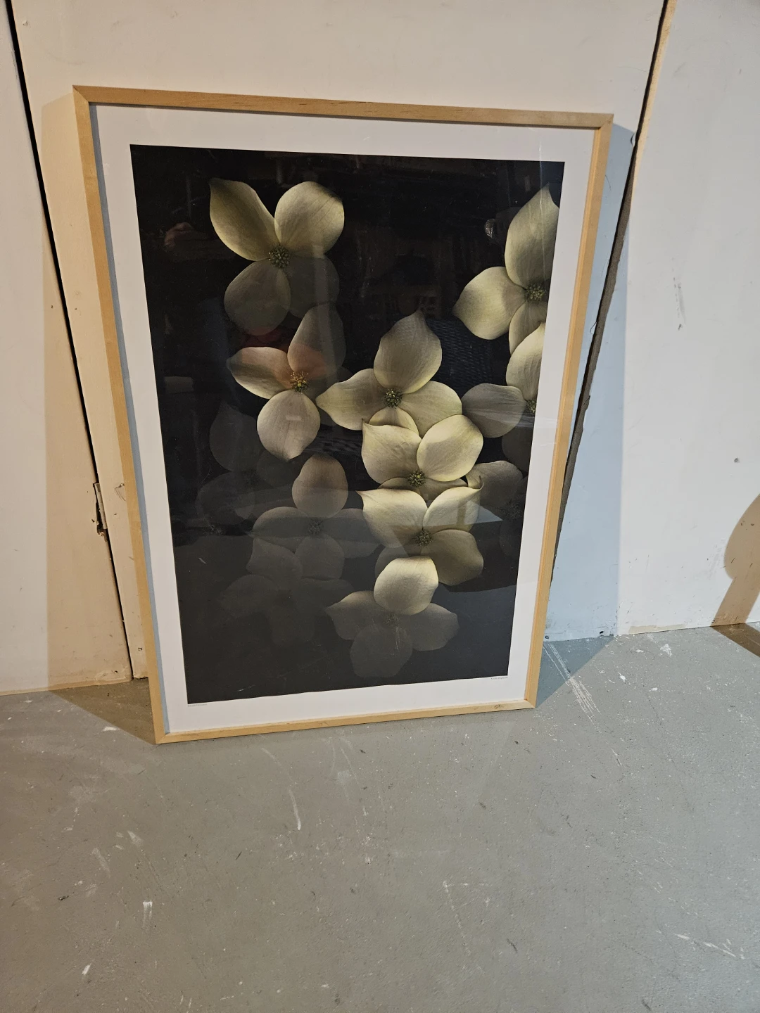 Framed Floral Print