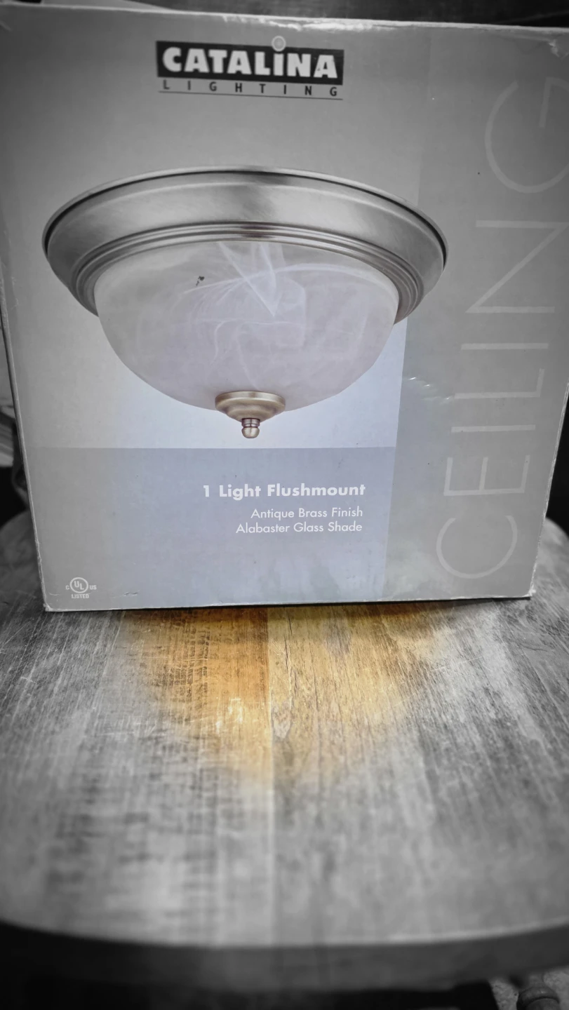 Catalina Lighting 1 Light Flushmount Ceiling Light