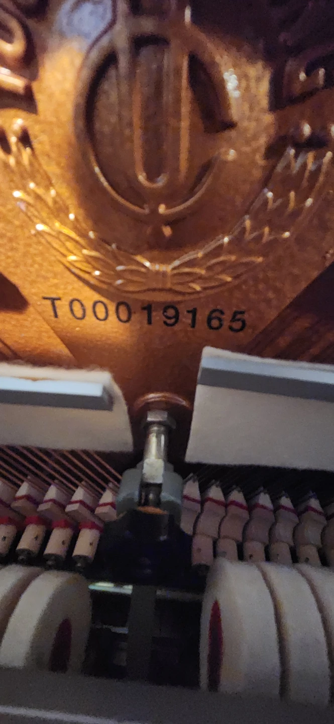 Ivory young change piano