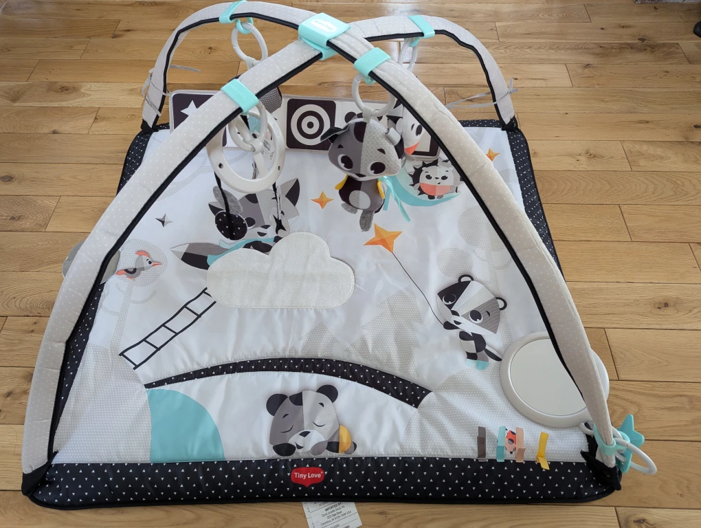 Tiny Love baby activity gym center