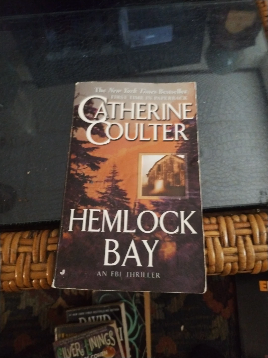 Hemlock Bay by Catherine Coulter - FBI Thriller Paperback