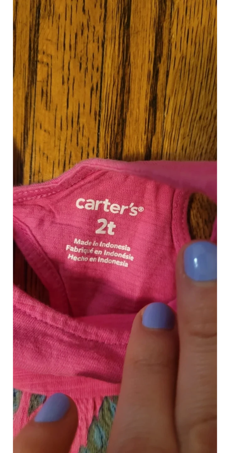 Carter's Size 2T clothes + swim bottoms - photo 2