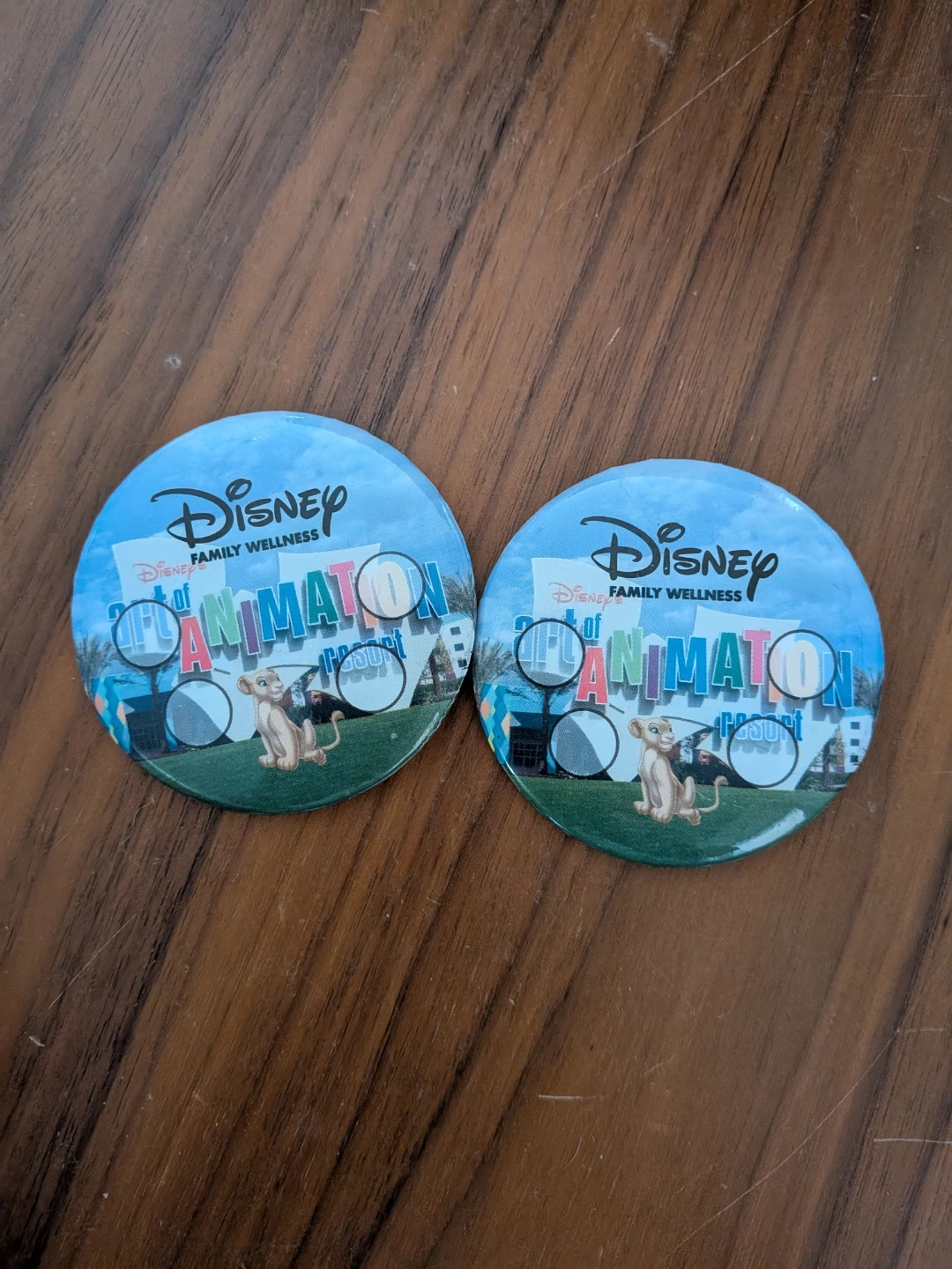 Disney Animation Pins 🌱