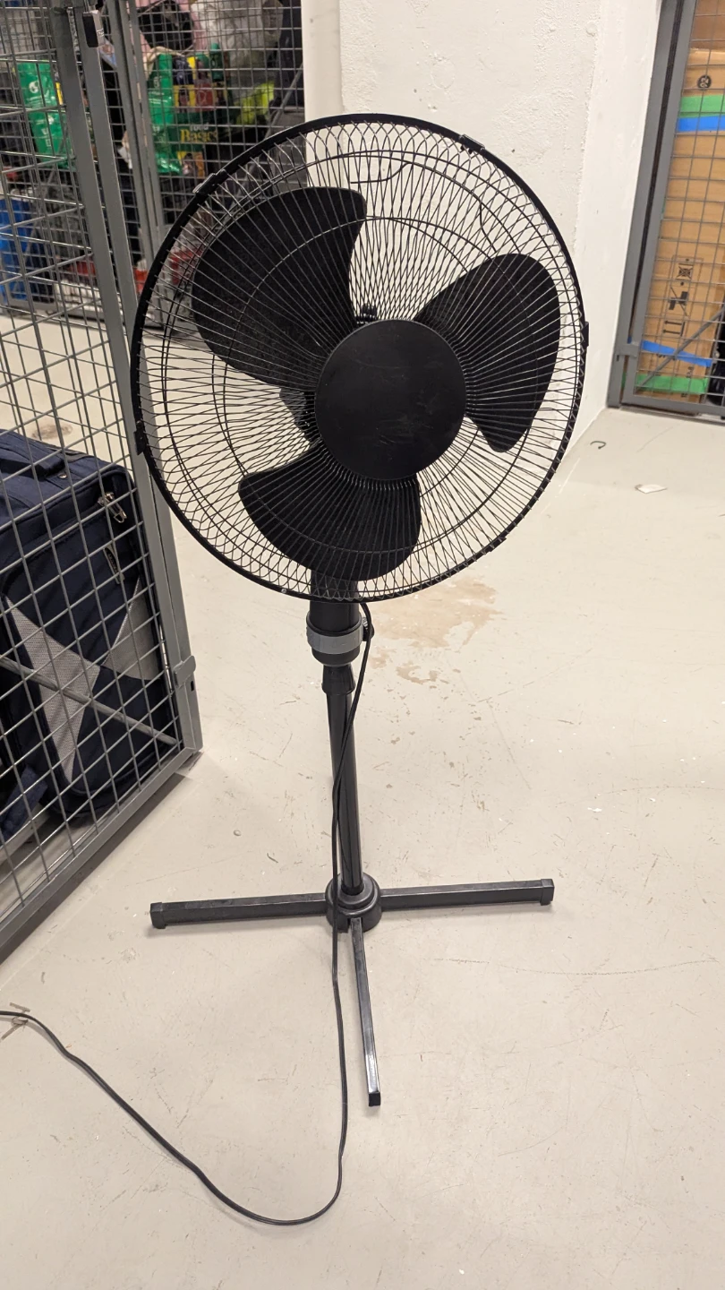 Black Oscillating Pedestal Fan