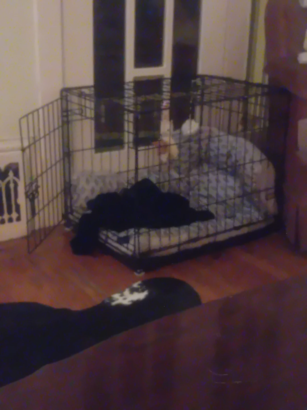 Dog Crate... colapsable