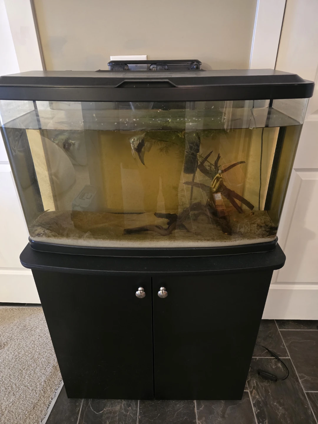 Aquarium, Stand, light and Filter with Media