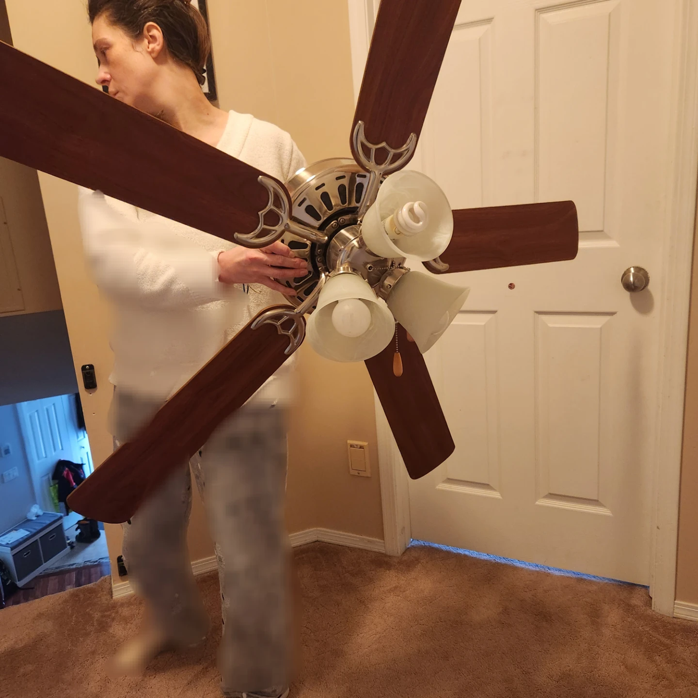 Ceiling Fan with Lights