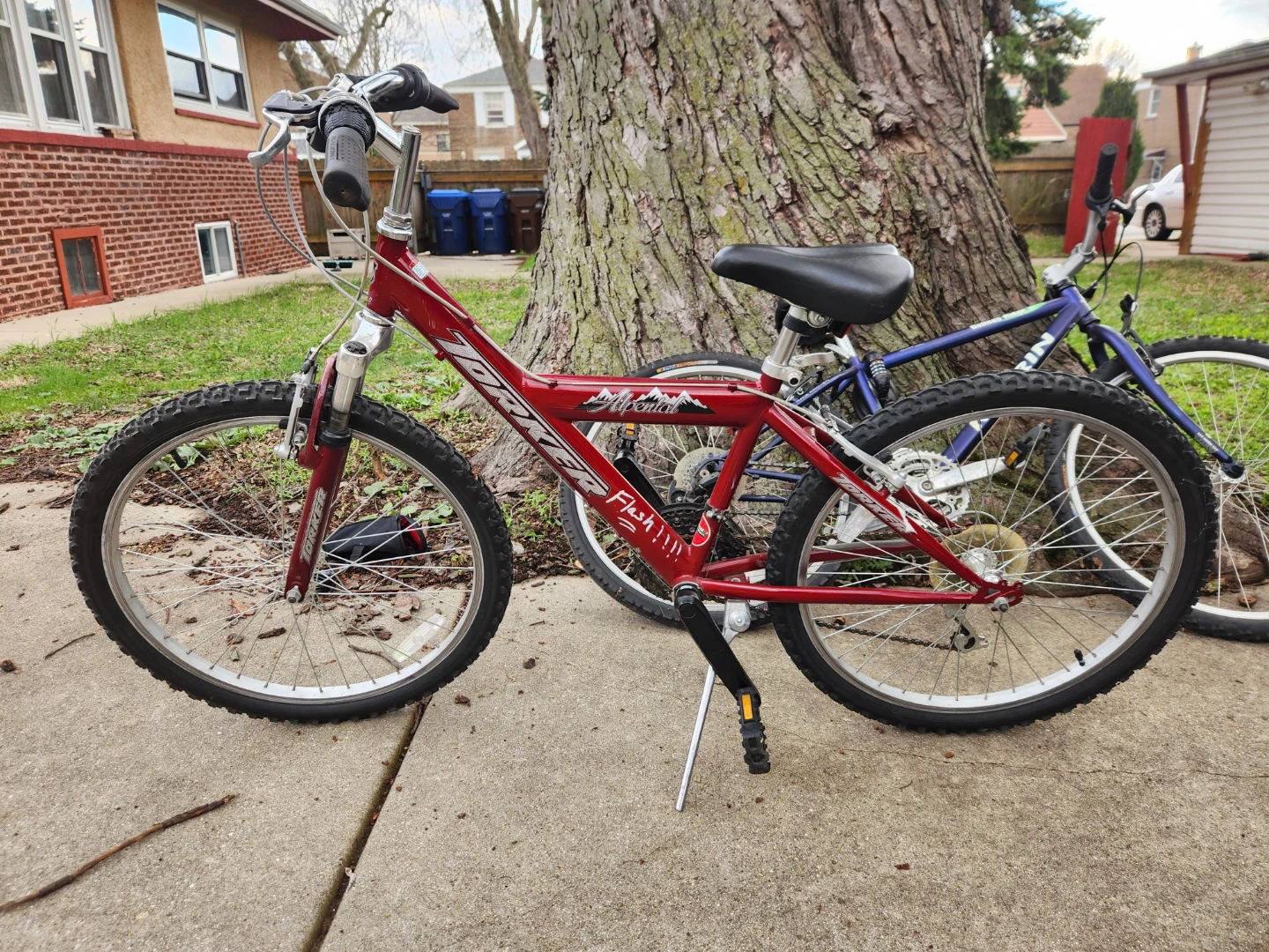 Mongoose Rockadile Youth Mountain Bike - photo 2