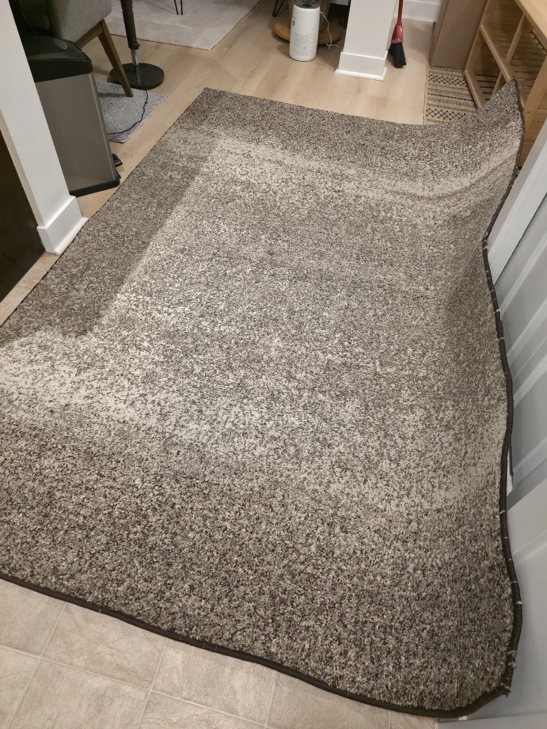 Area Rug