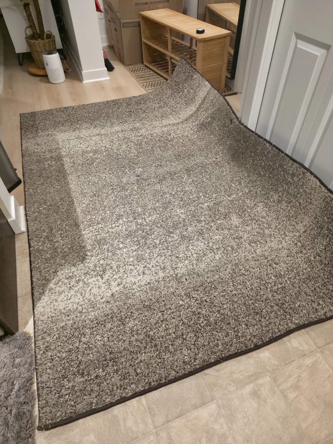 Area Rug - photo 2