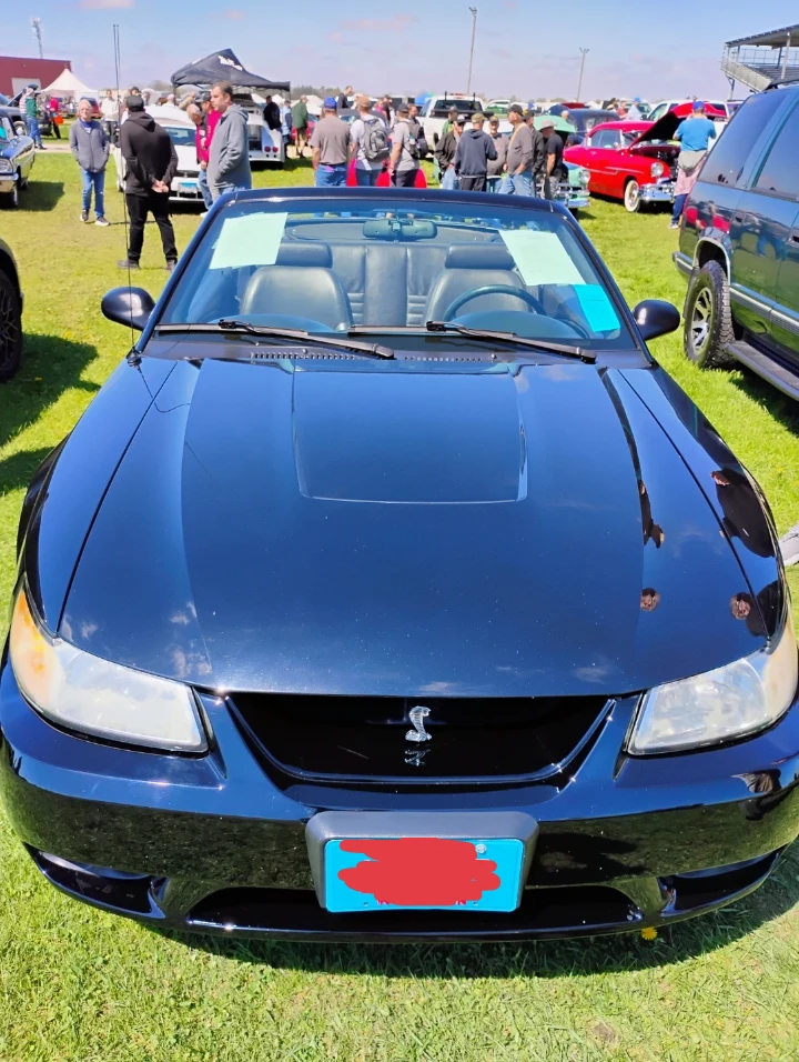 1999 limited edition Ford Mustang SVT Cobra