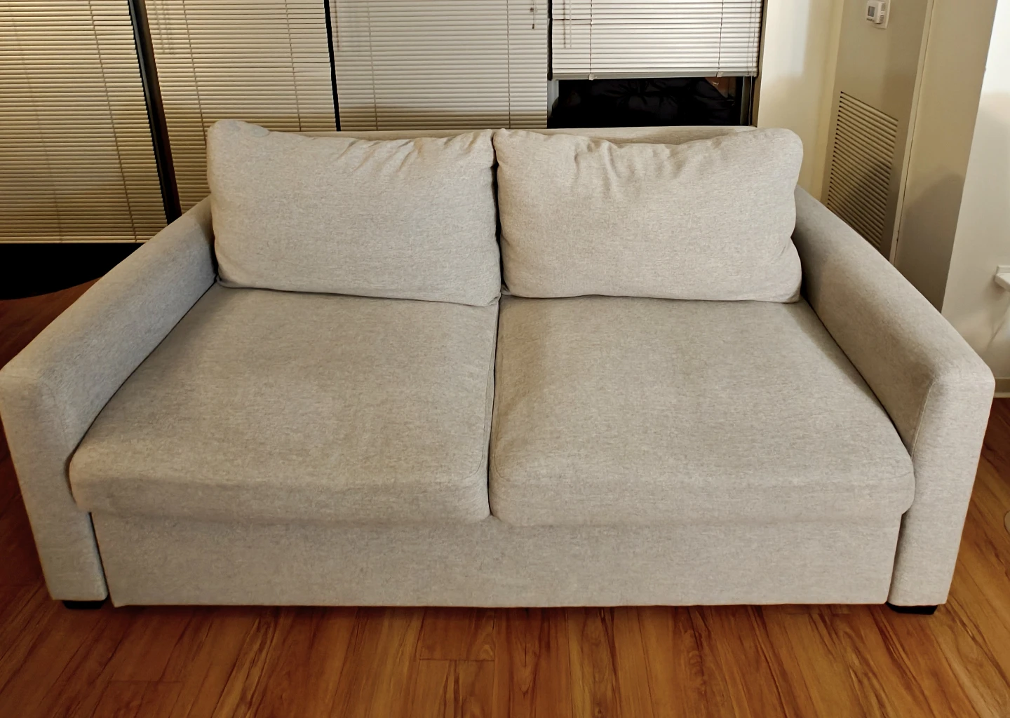 Light Gray Sofa Sleeper Bed