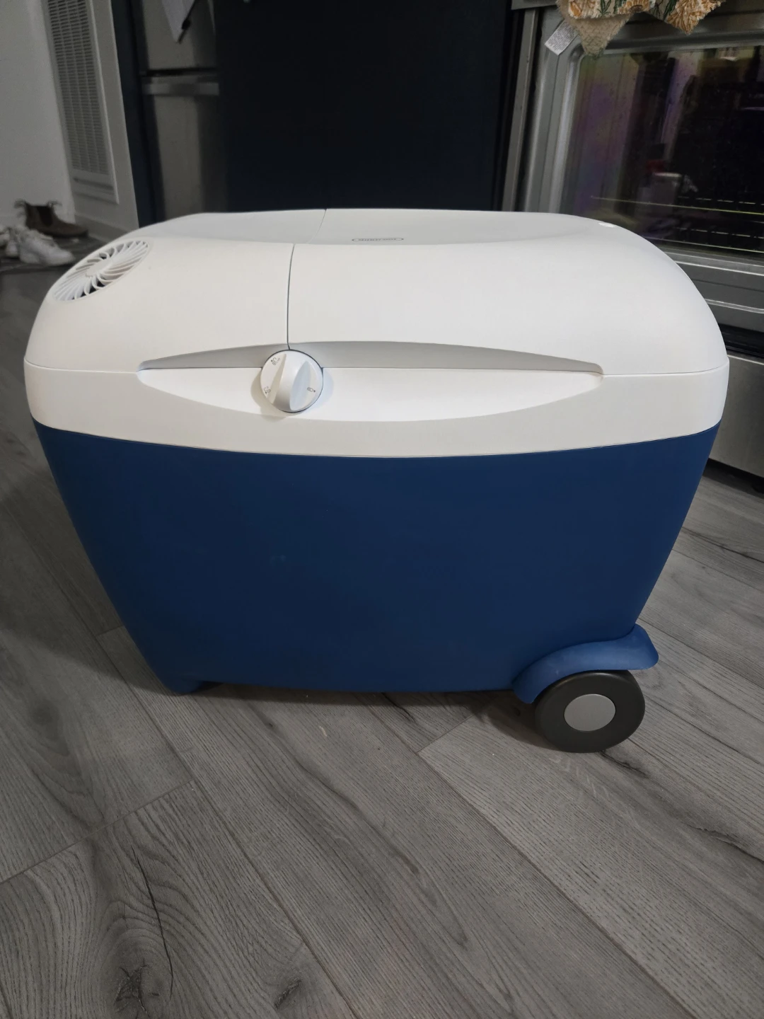 Mobicool Electric Cooler/Warmer - photo 4