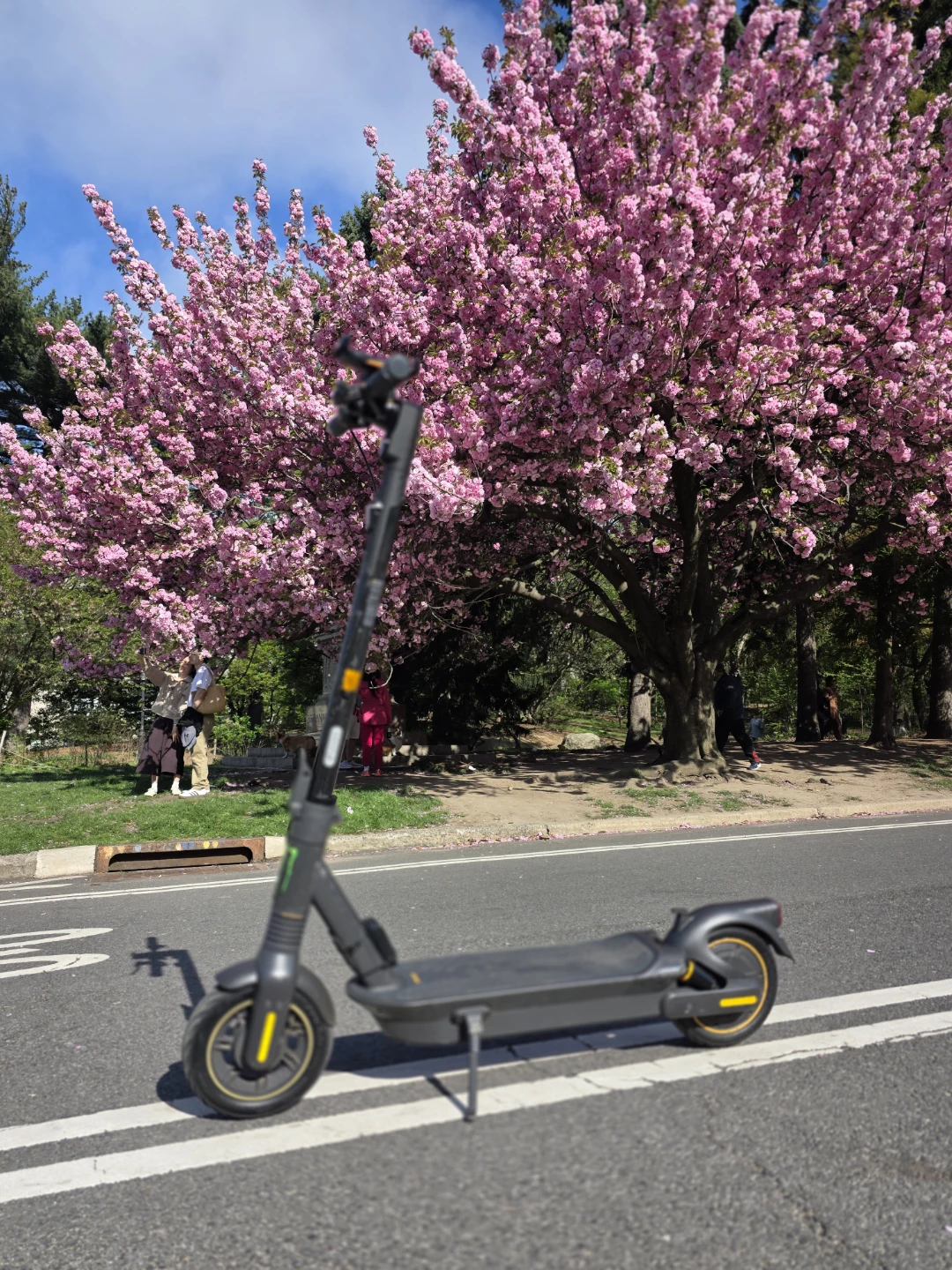 Segway Ninebot G2 Electric KickScooter - photo 2