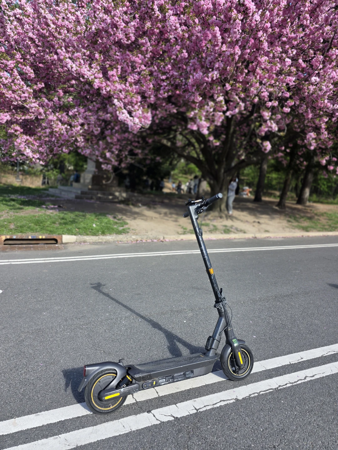 Segway Ninebot G2 Electric KickScooter - photo 5