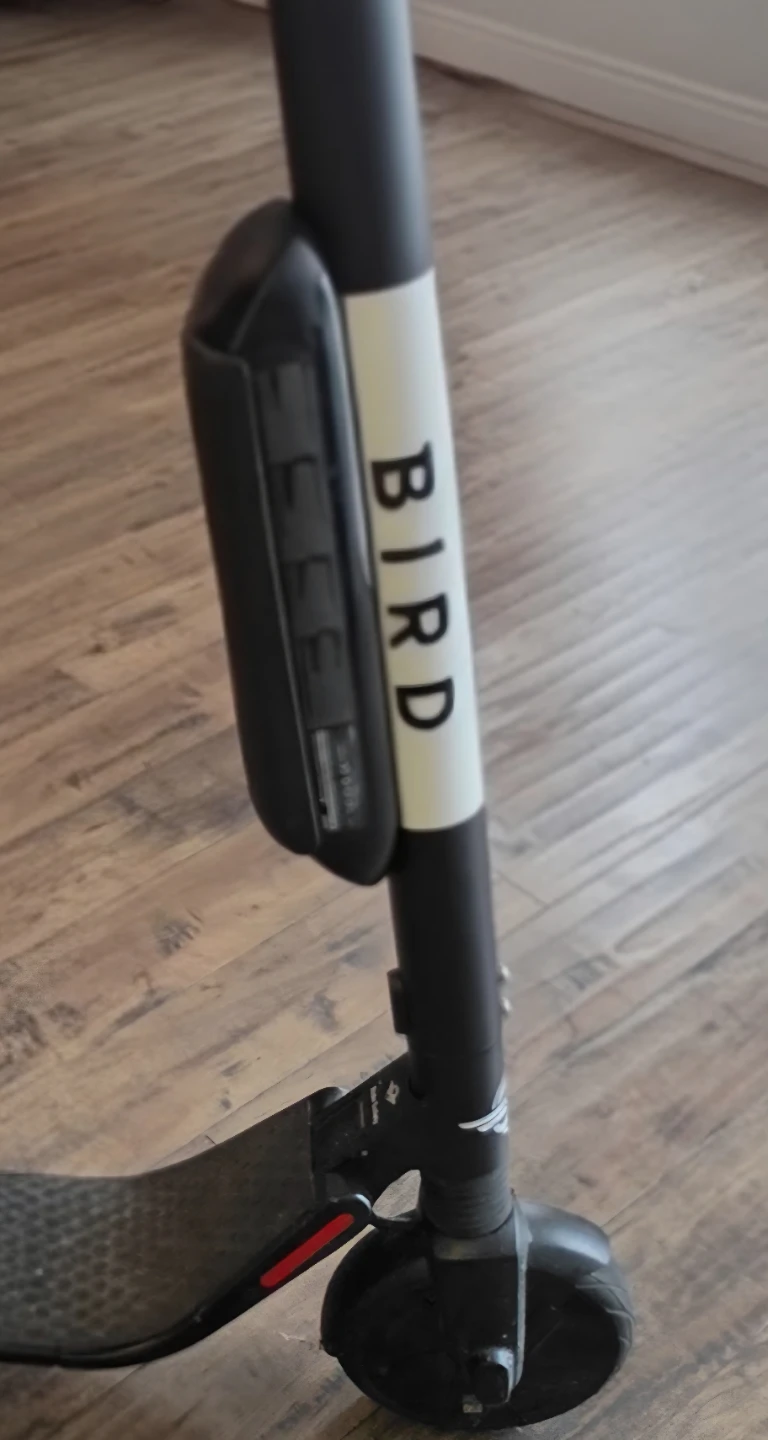 Bird Electric Scooter (Segway Ninebot) - BEST OFFER TAKES IT!
