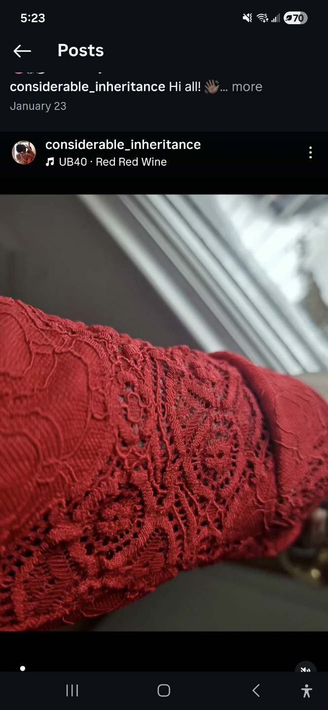 Viki SEWS Lemmya Red Lace Long Sleeve Top - photo 4