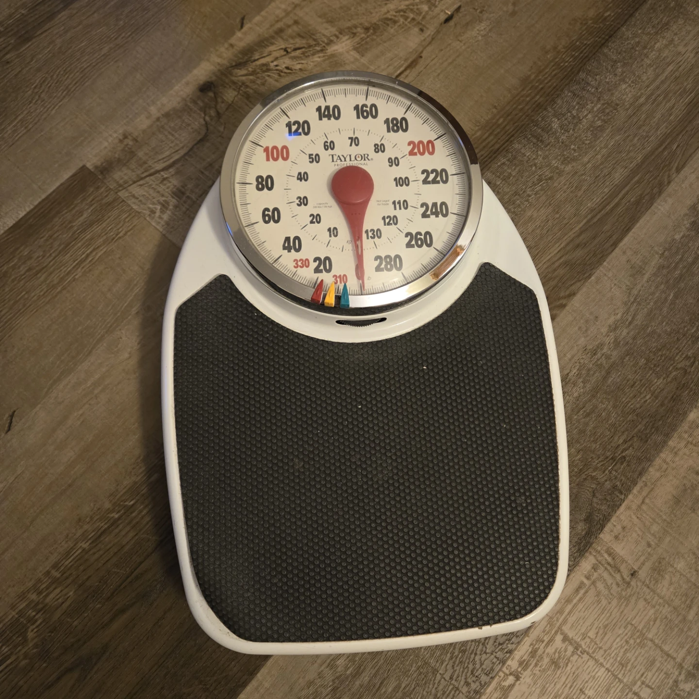 Taylor Professional Analog Weight Scale