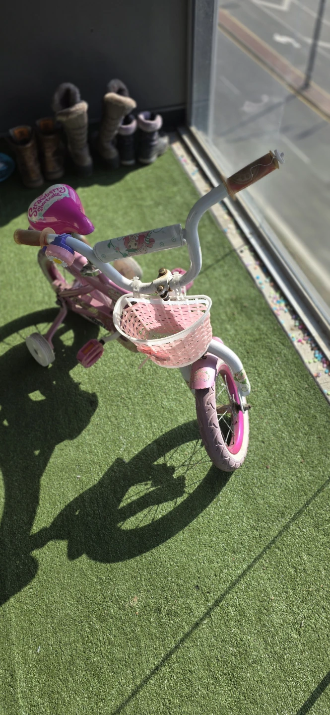 Girls' Pink Bicycle with Basket