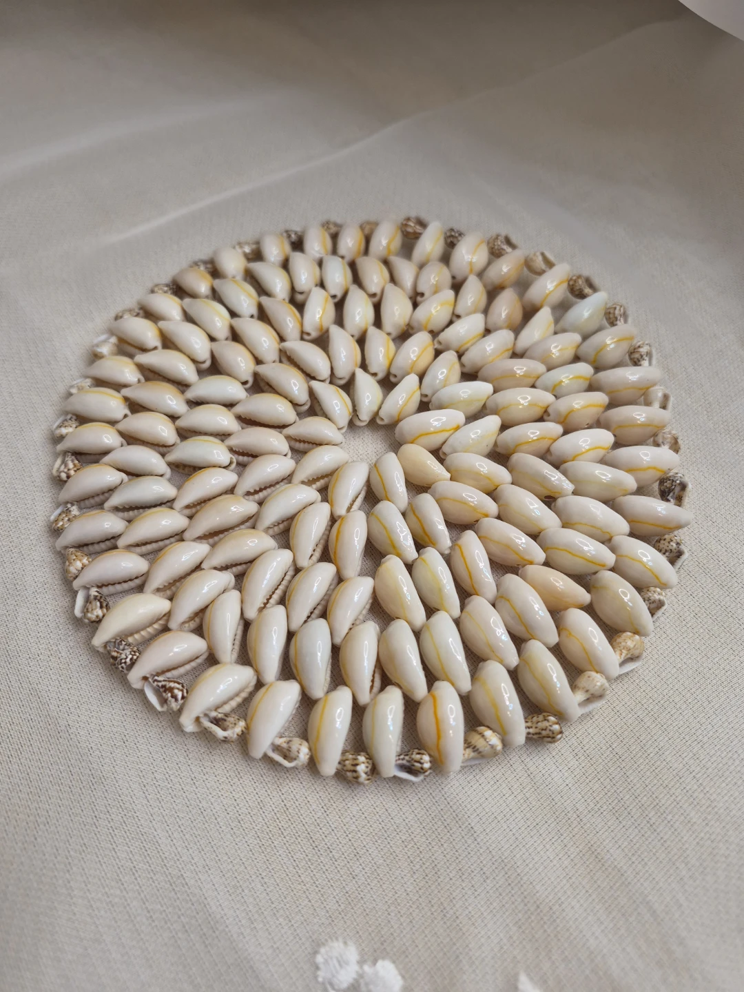 5 3/4" Round Cowry Shell Hotpad, Trivet, Table Decor