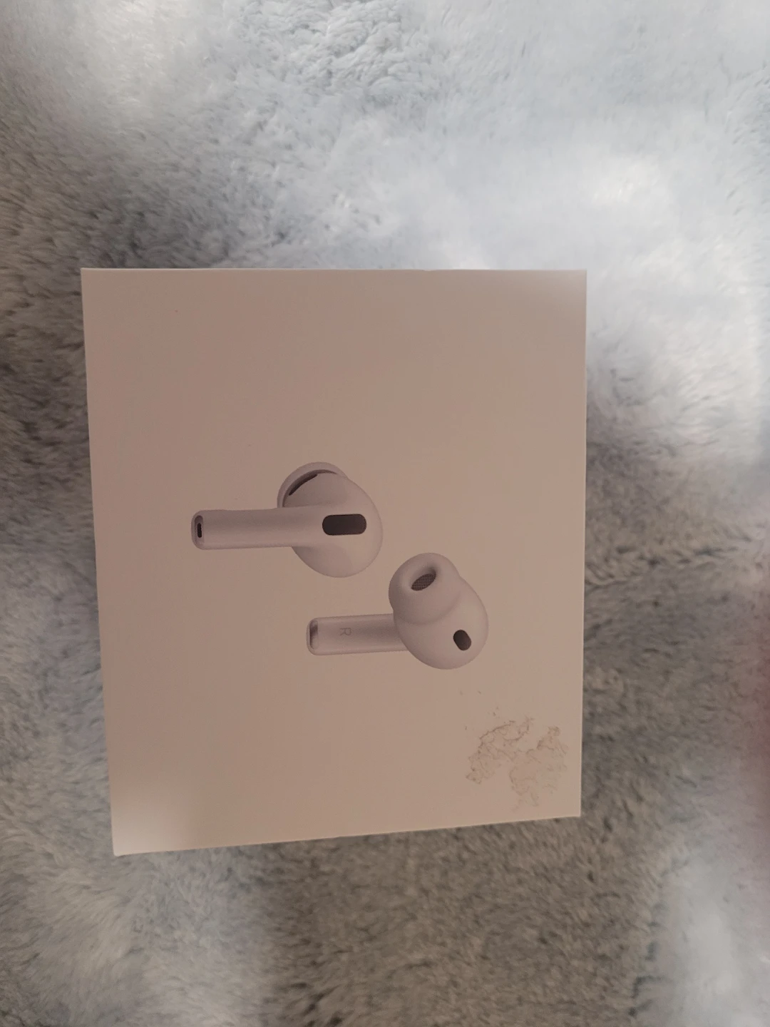 Earbuds