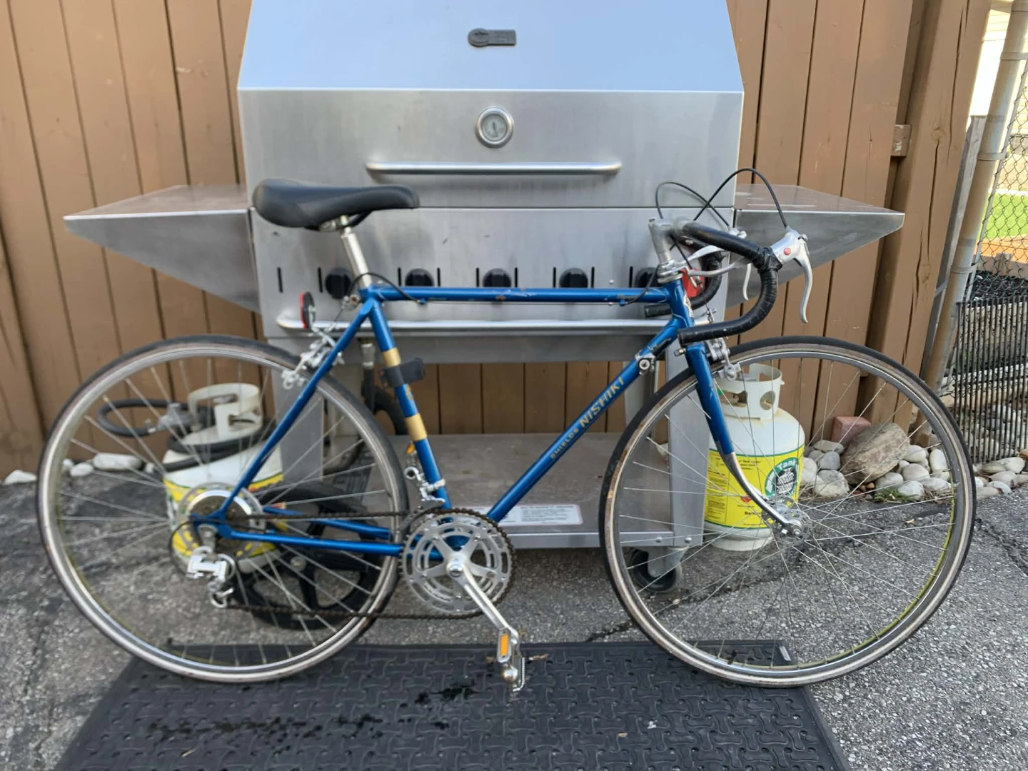 Vintage Nishiki Road Bike