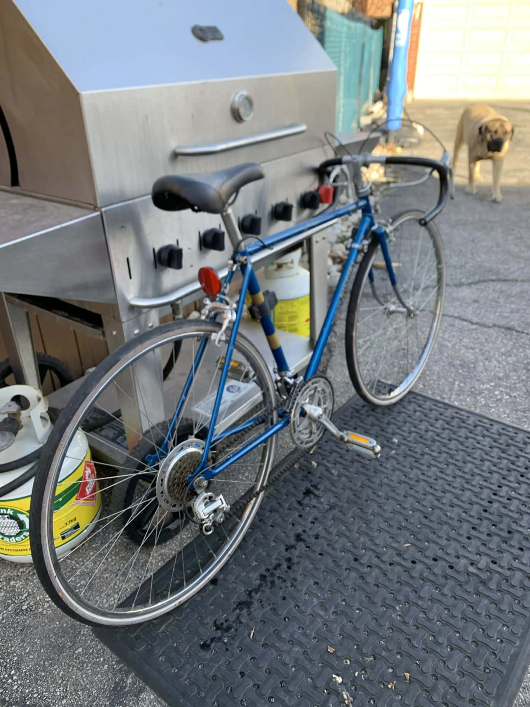 Vintage Nishiki Road Bike - photo 3