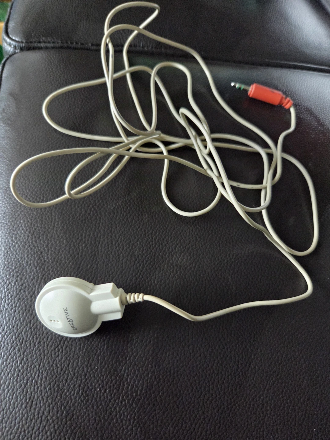 #🥕🤎FREE Creative Microphone