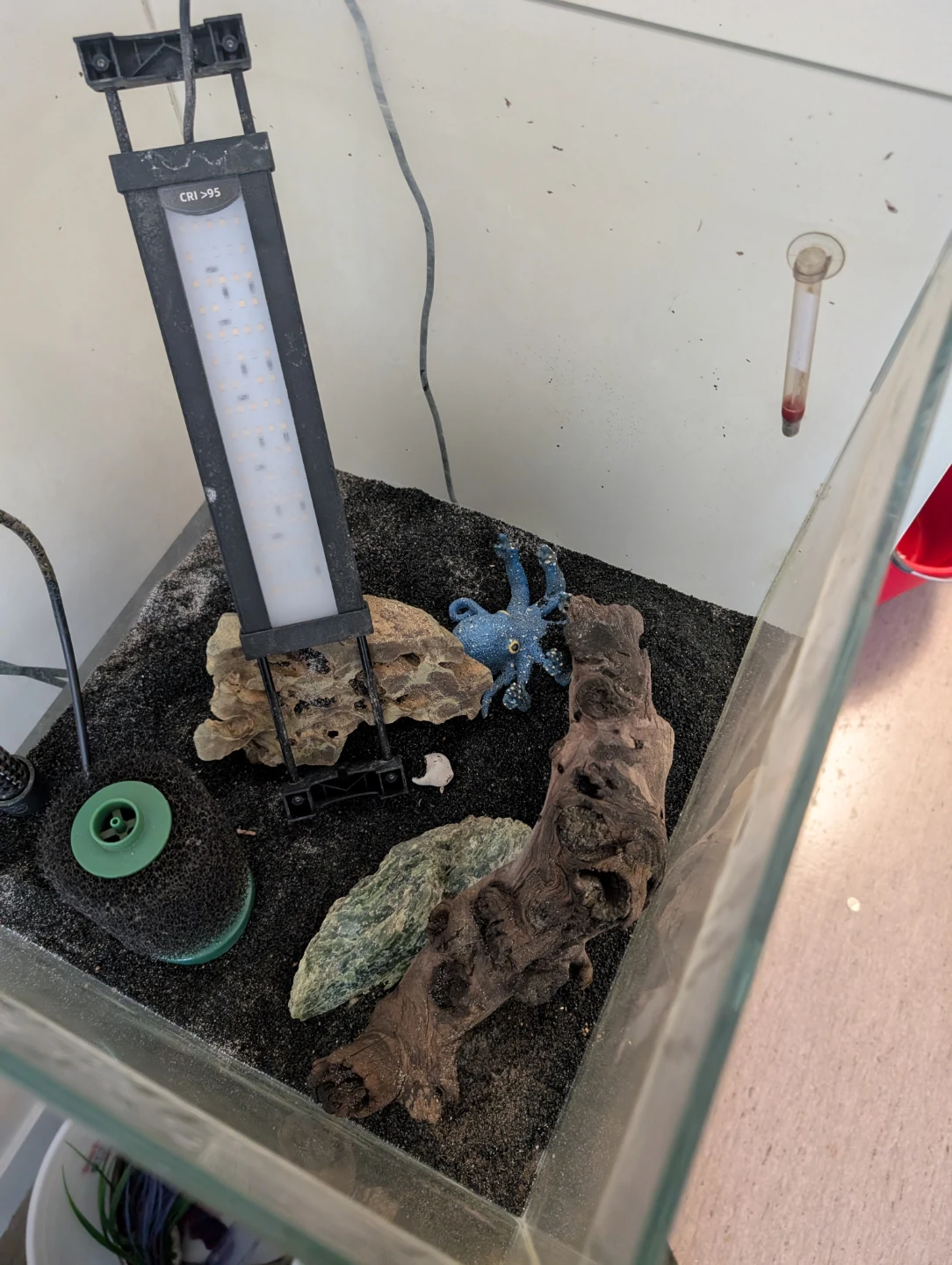 Just needs fish and water - photo 3