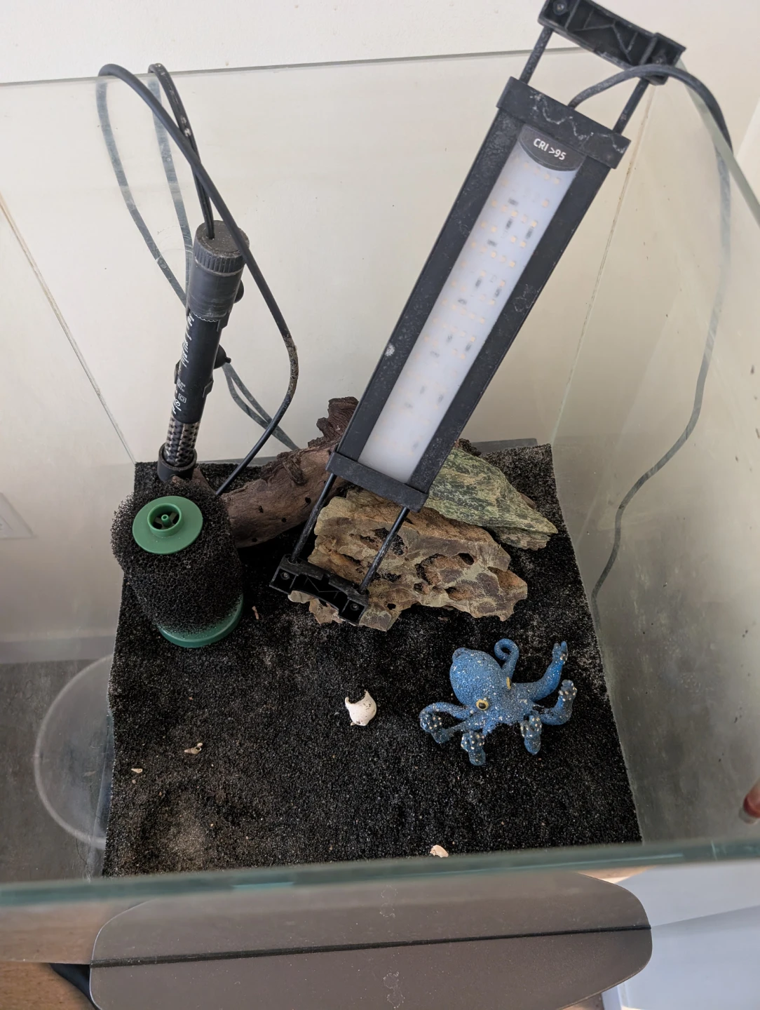 Just needs fish and water - photo 4