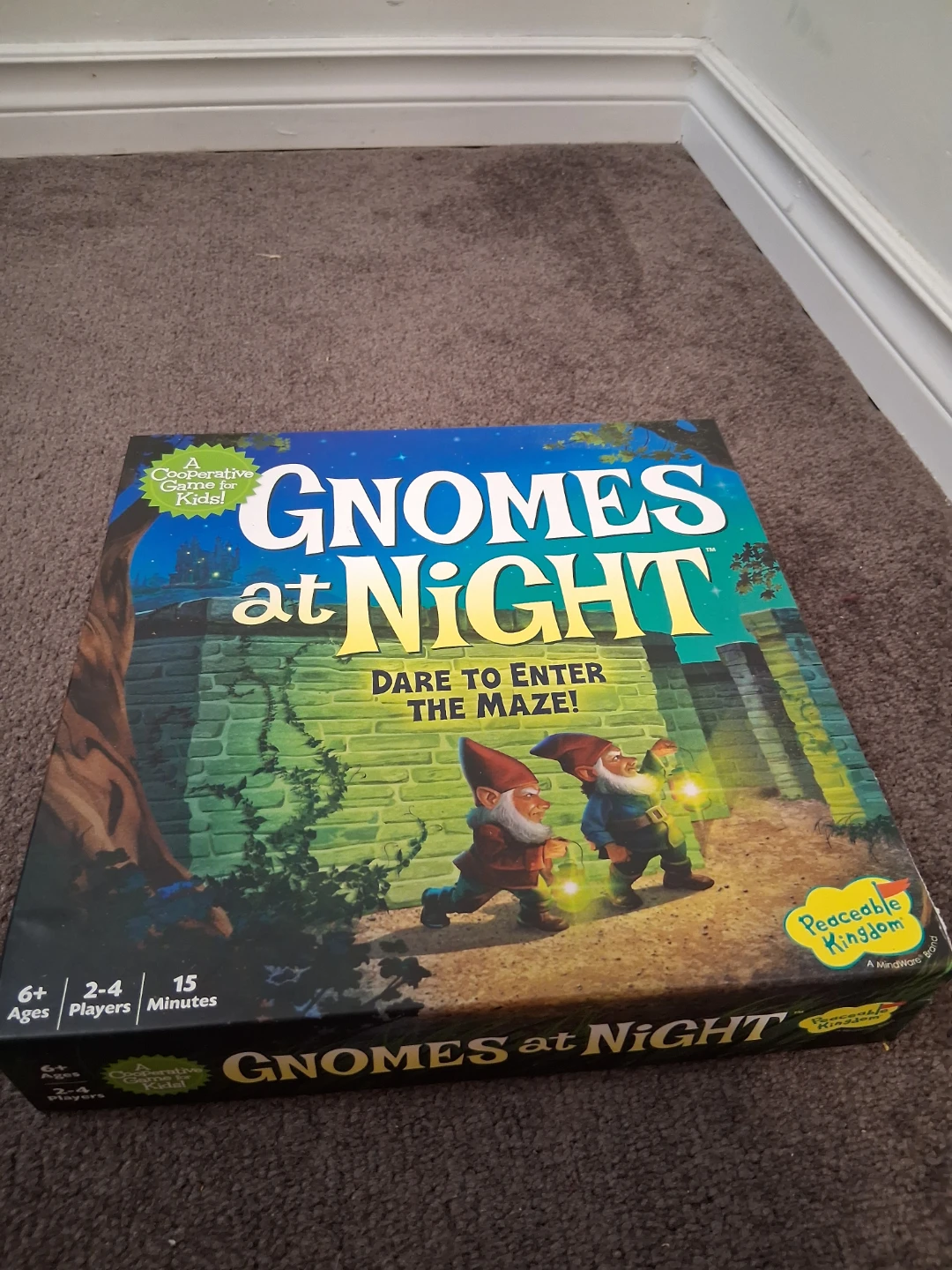Gnomes at Night Cooperative Board Game