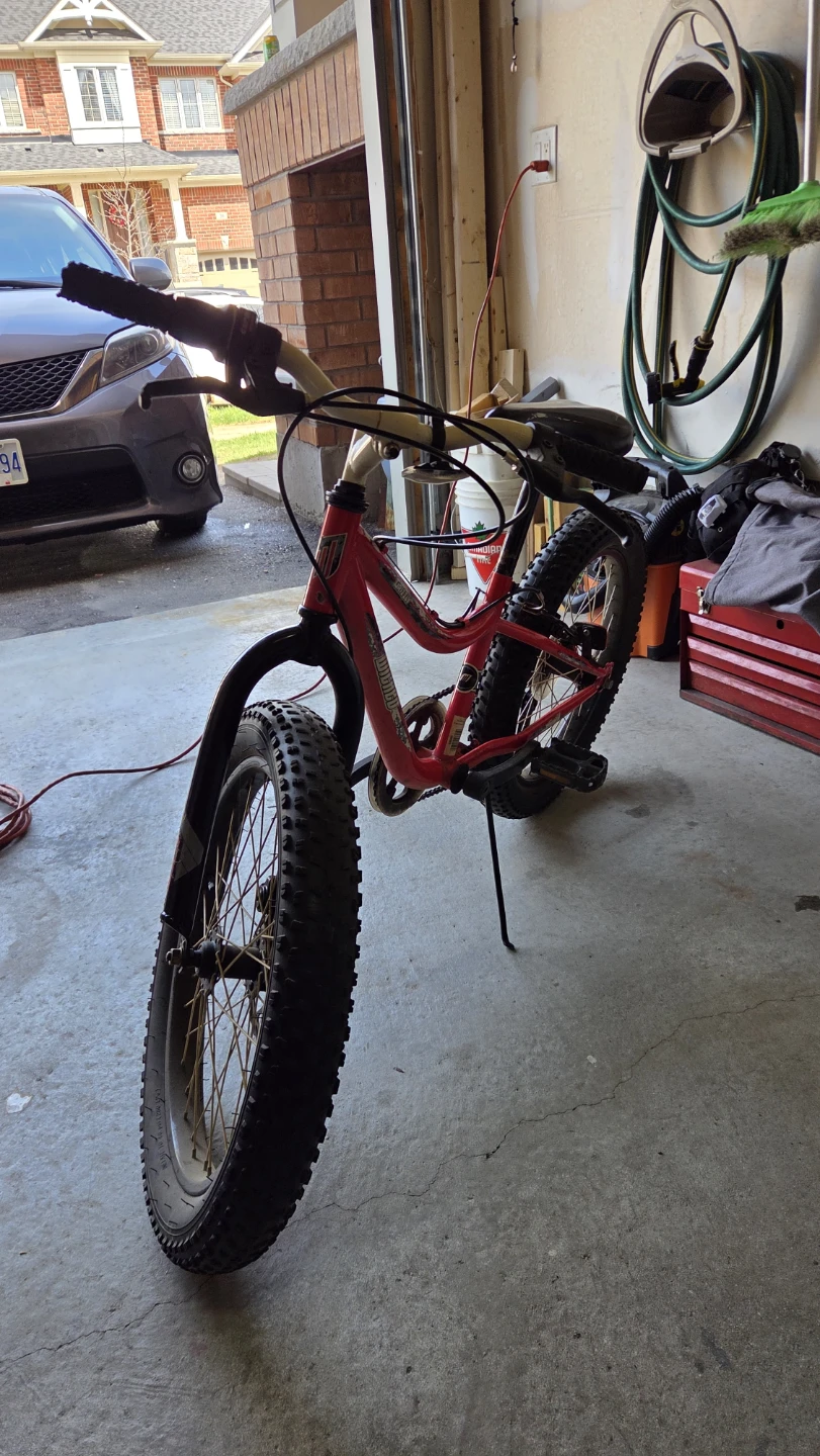 Red "Wilder" Fat Tire Kids Bike