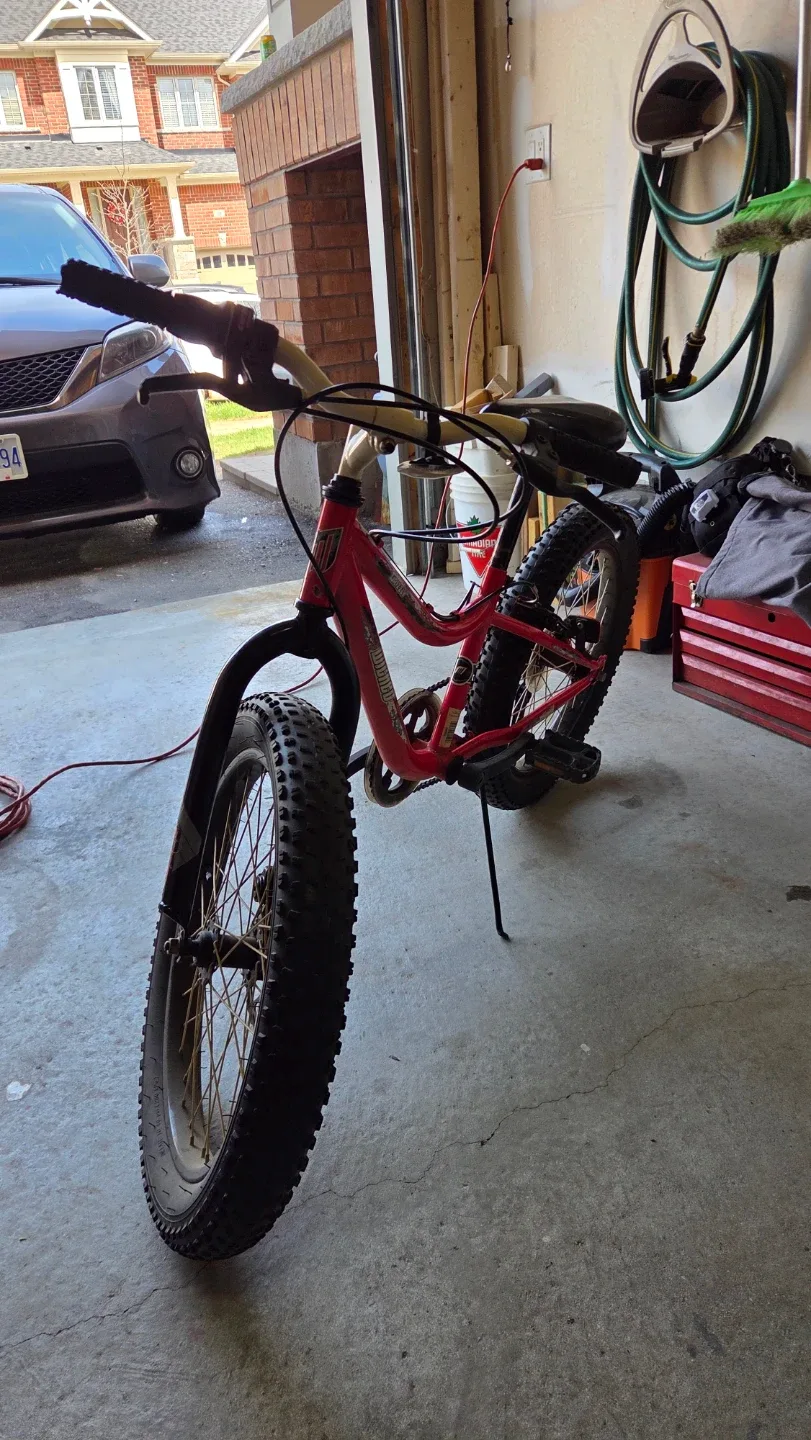 Red "Wilder" Fat Tire Kids Bike