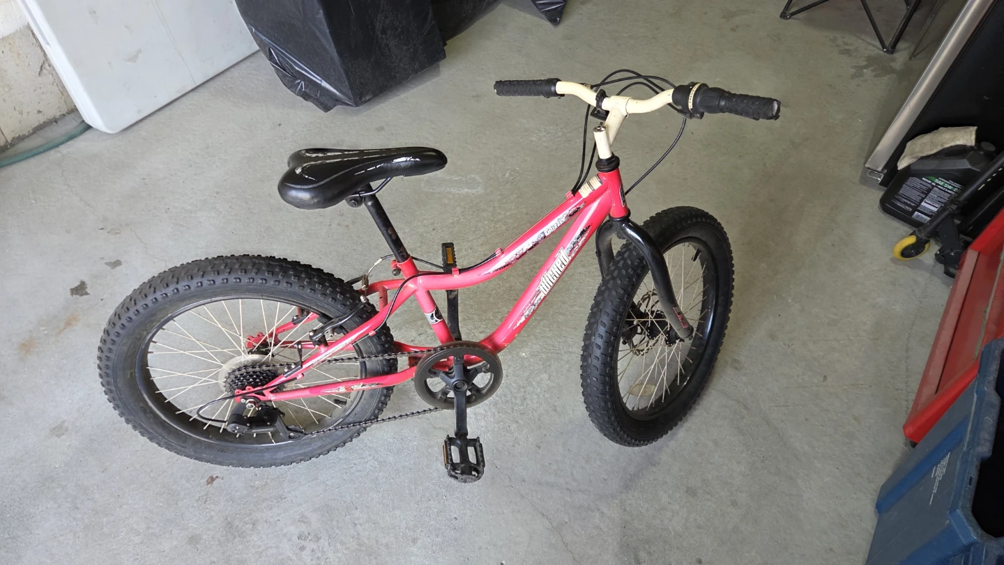 Red "Wilder" Fat Tire Kids Bike - photo 4