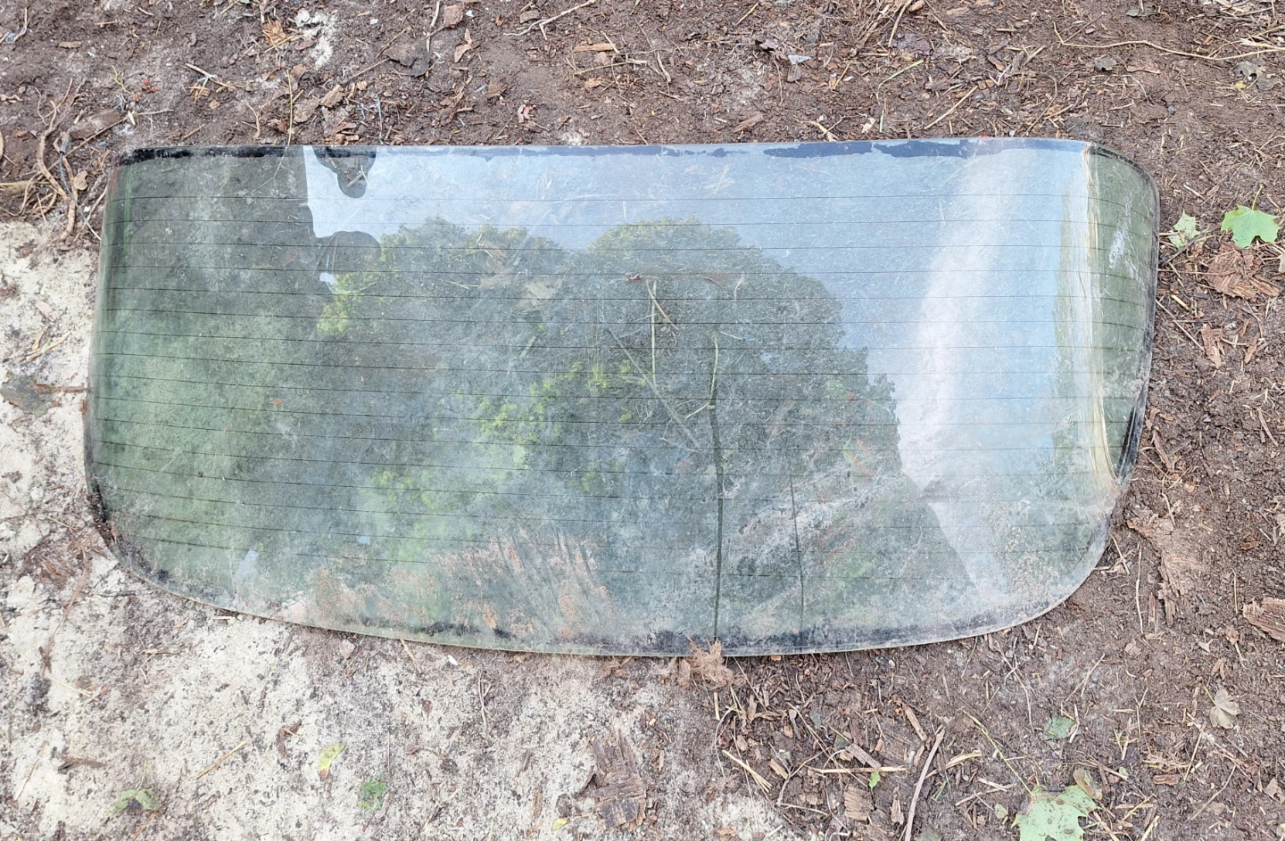 '81 Camaro Rear Window with Defroster Lines 🌱 - photo 2