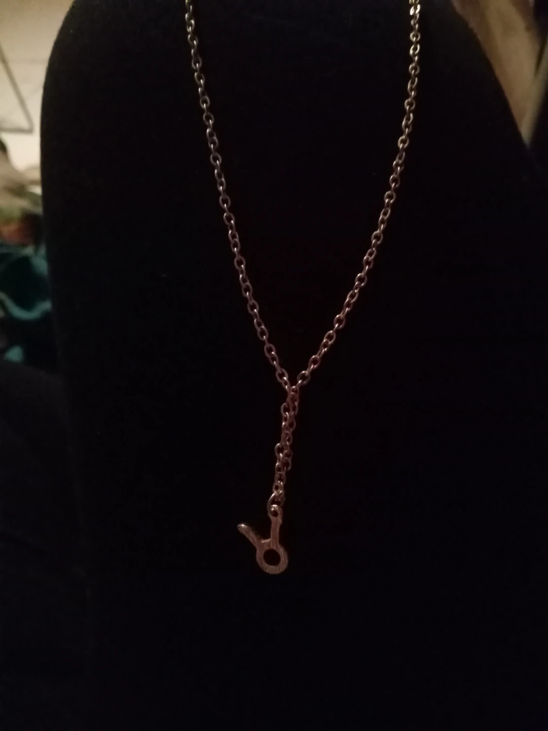 Taurus Zodiac Sign Necklace