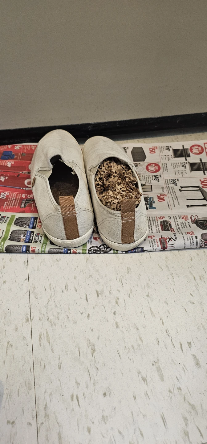 H&M Vans Slip-On Shoes - Cream Canvas - photo 5