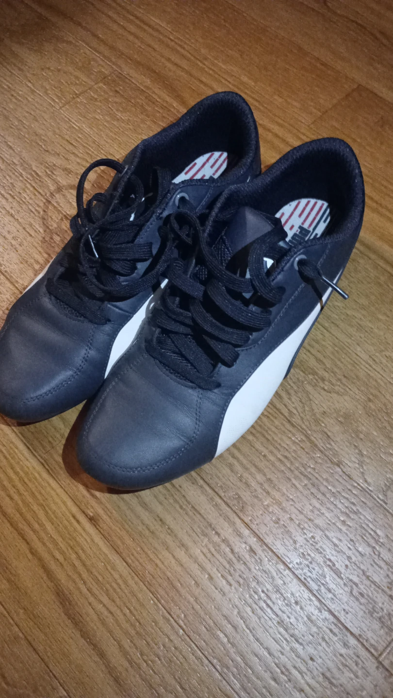 Puma BMW M Motorsport Shoes