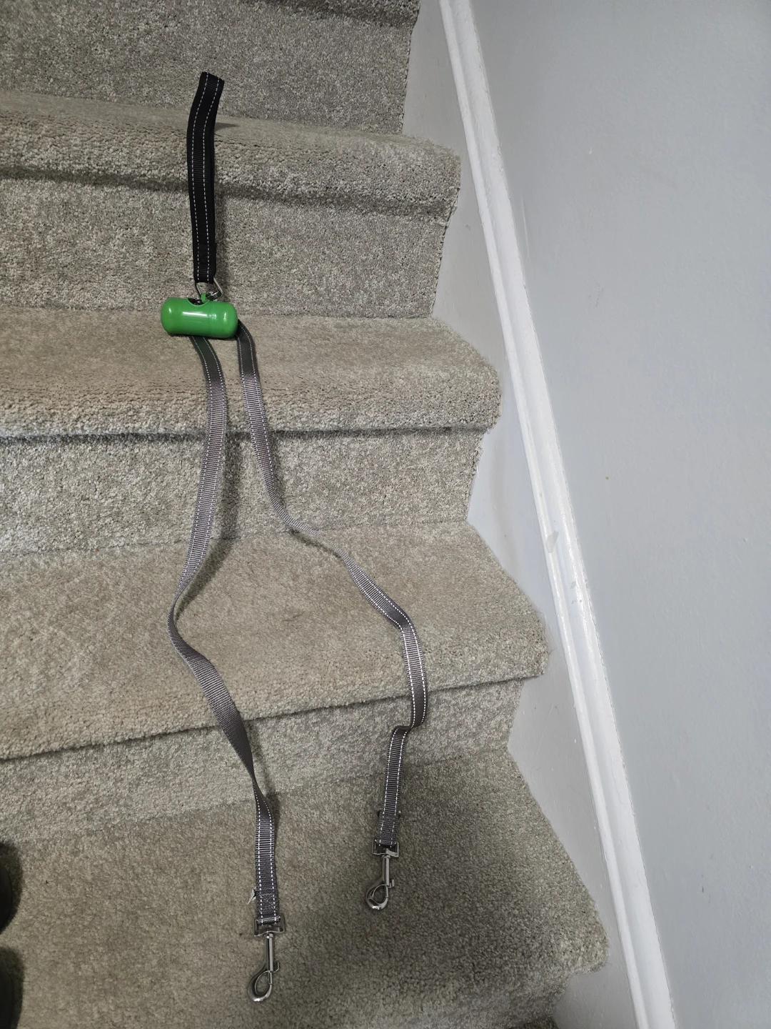 Double Dog Leash with Waste Bag Dispenser