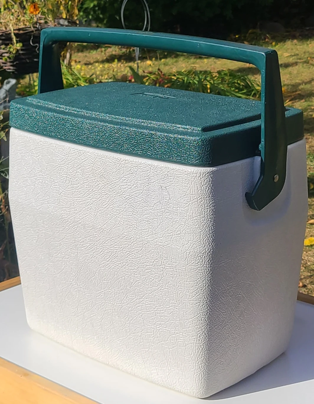 Coleman Oscar 16qt Cooler - Spotless Like New! - photo 2