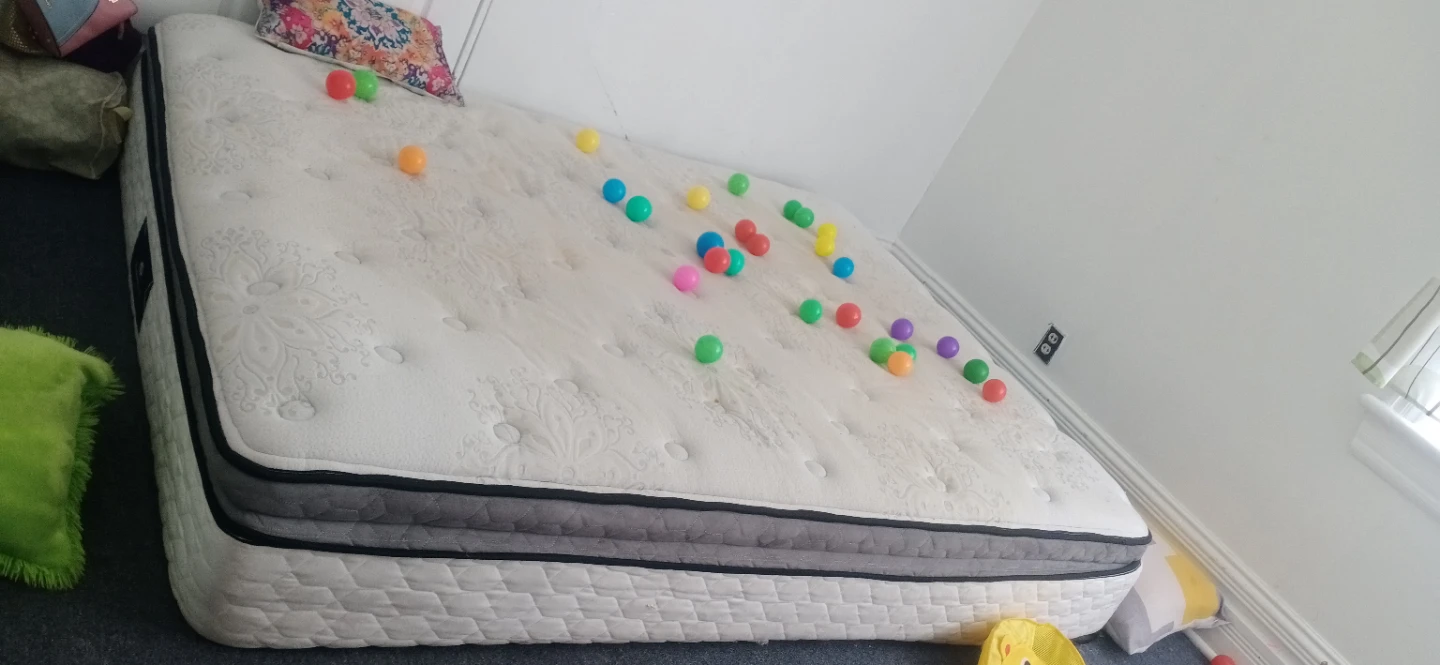 Posturepedic Sealy Mattress