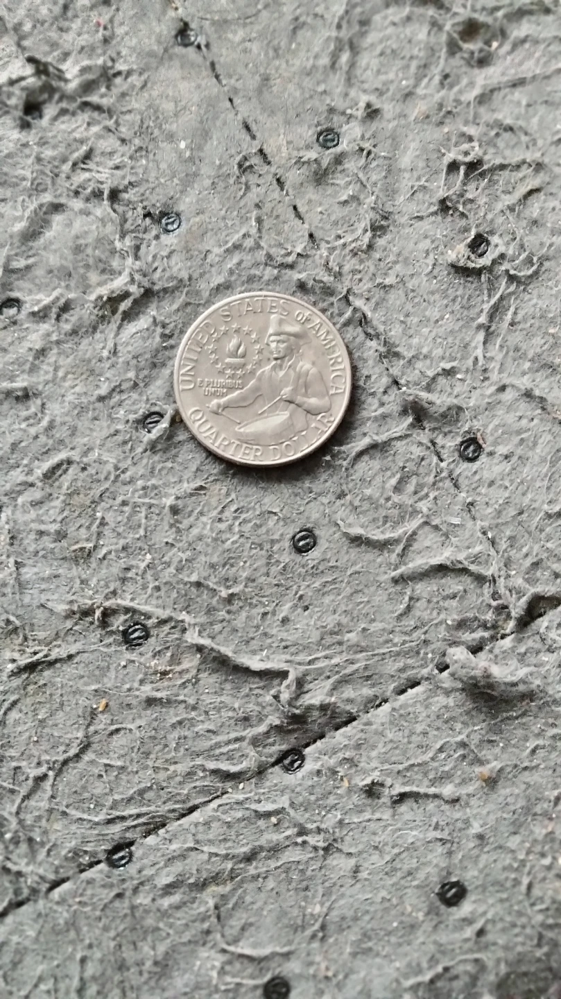 Se vende moneda