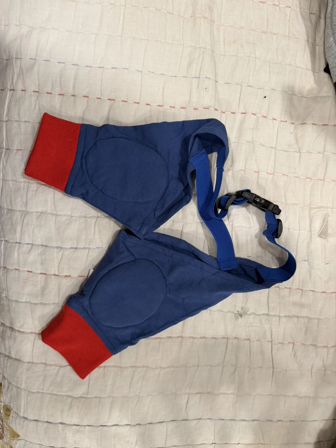 Blue and red protective dog sleeves
