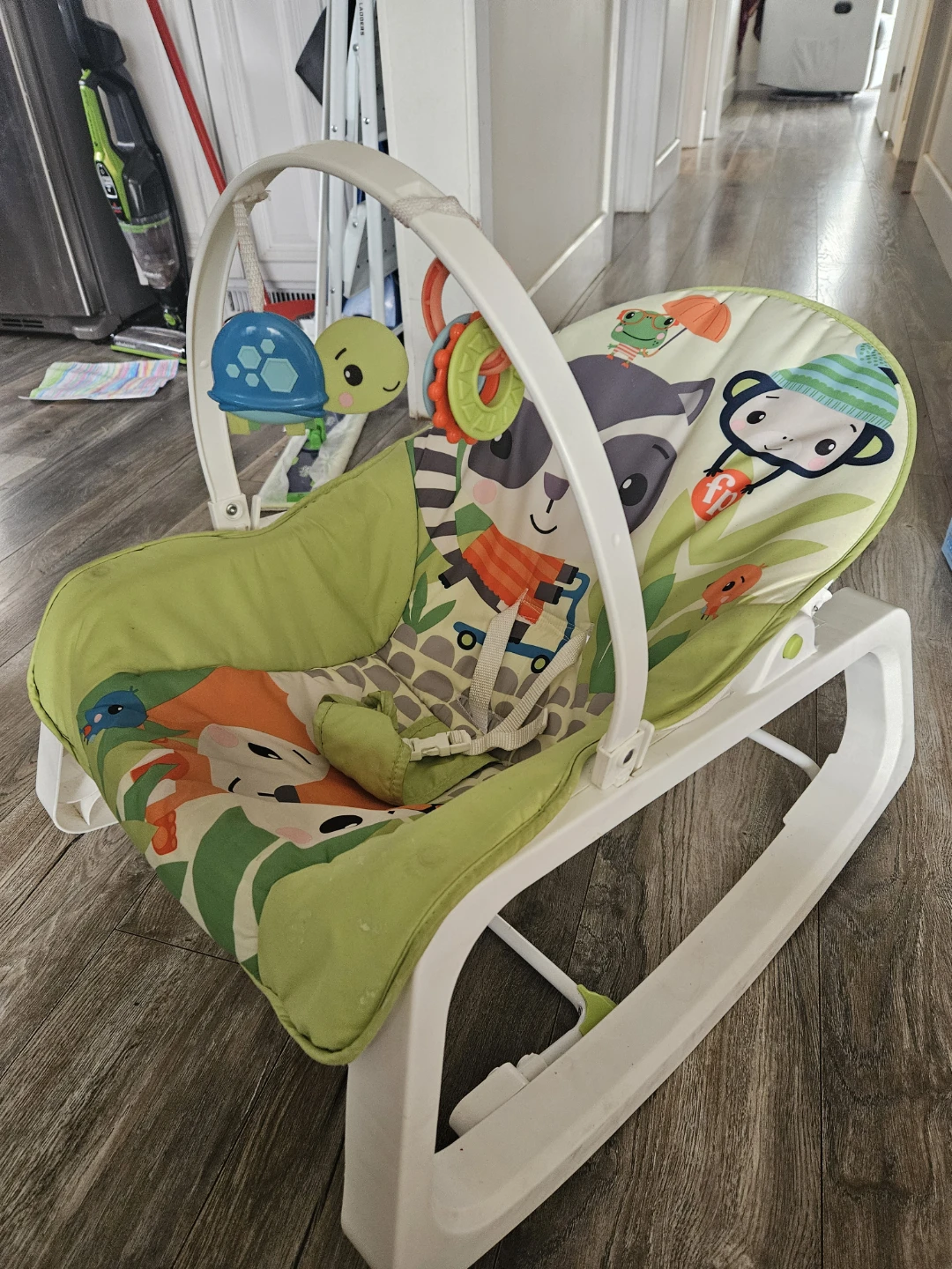 Fisher-Price Baby Bouncer Seat - photo 4