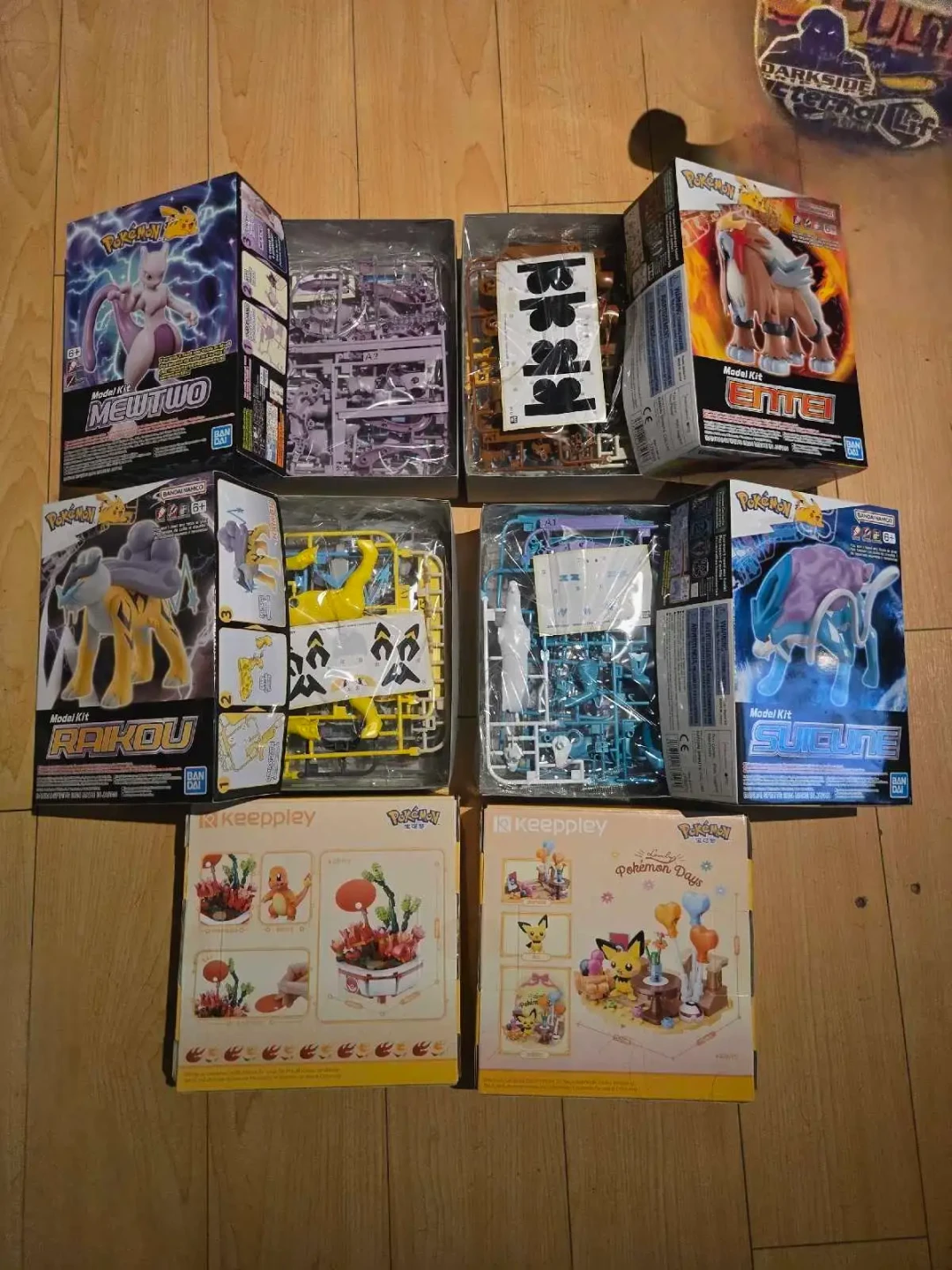 Pokemon Model Kits - Mewtwo, Entei, Raikou, Suicune - photo 2